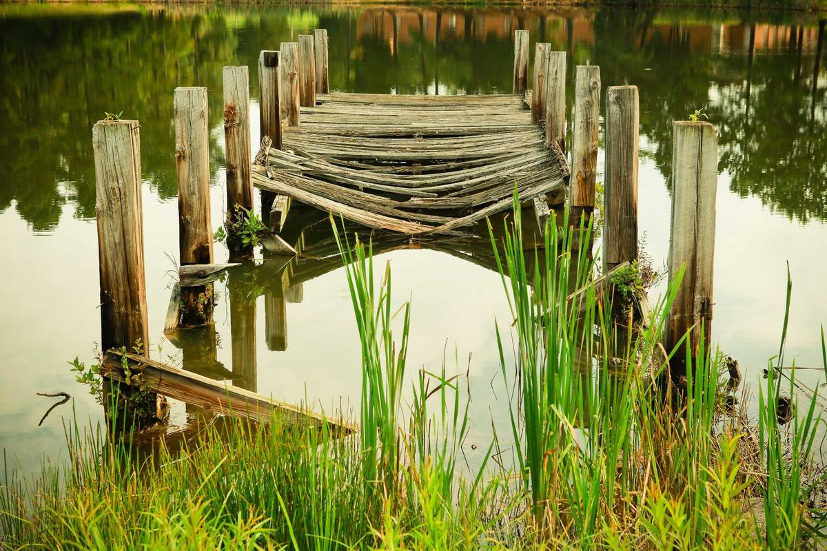 Image de test (placeholder)